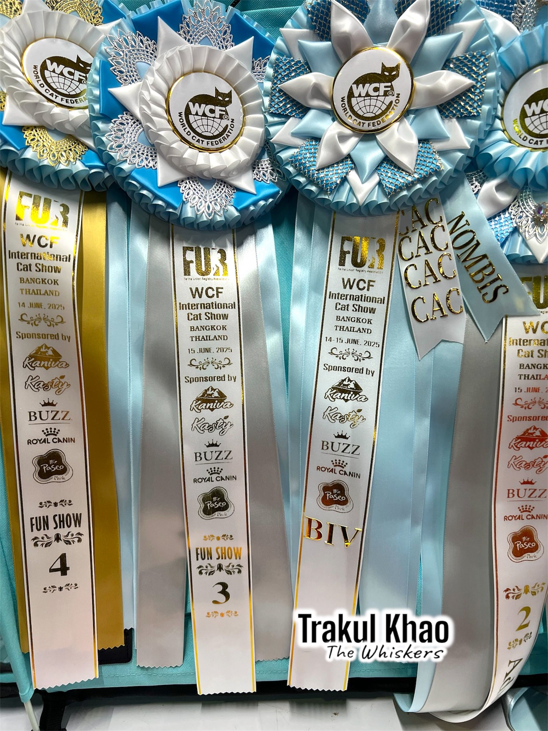 WCF Thailand by FUR 14-15 July 2025