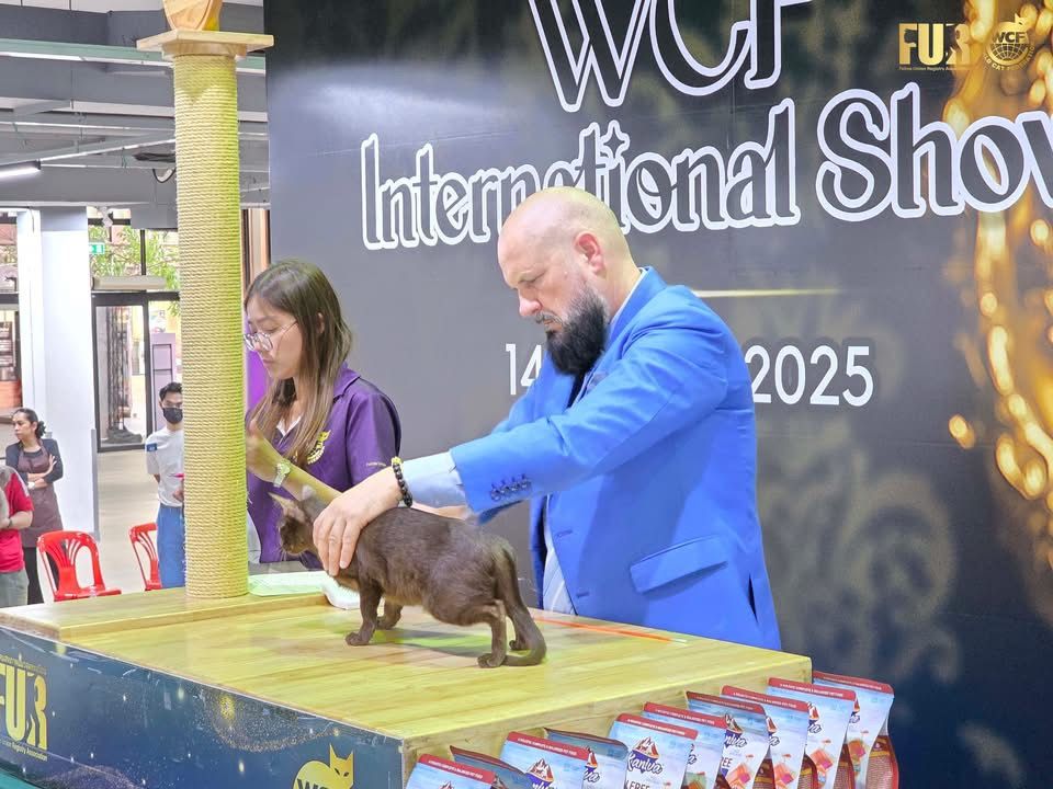 WCF Thailand by FUR 14-15 July 2025