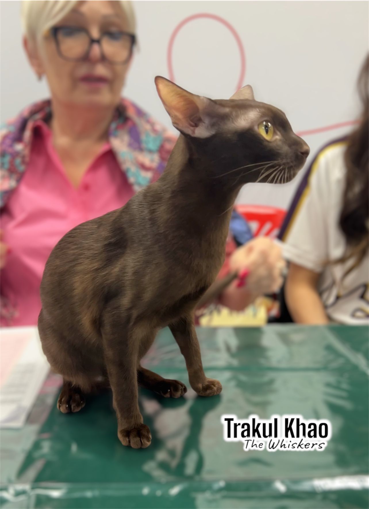 WCF Thailand by FUR 14-15 July 2025