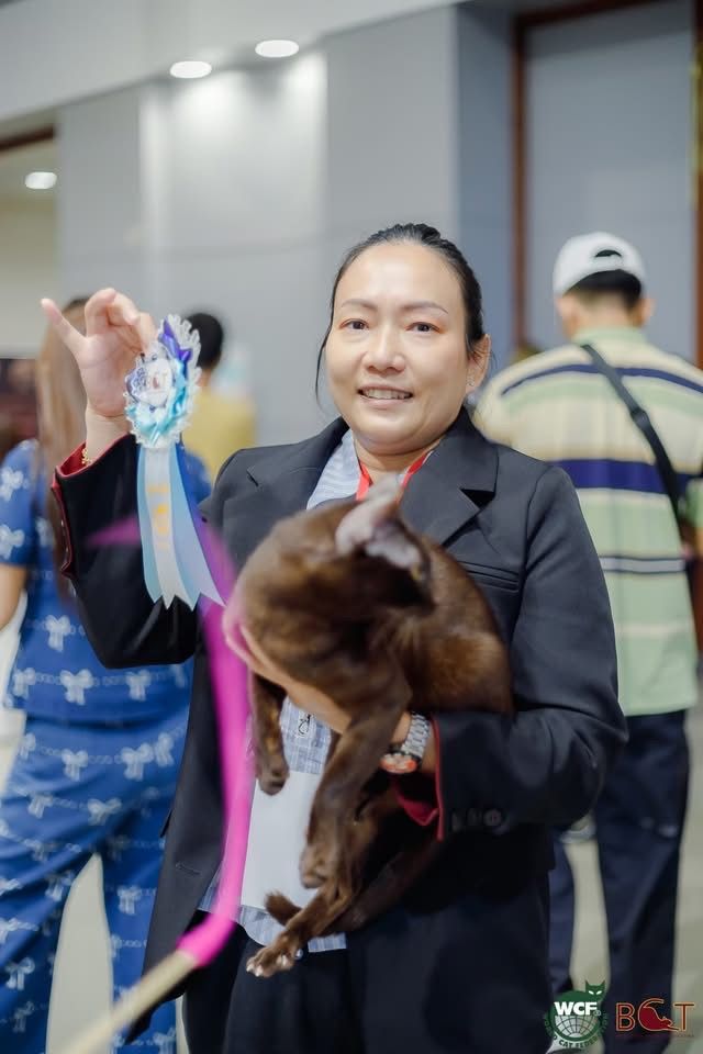 WCF Thailand by BCT 24-25 May 2025