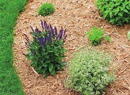 Valoriser le bois dans votre jardin