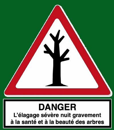 Six idées reçues sur la taille sévère image