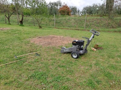 Le rognage de souche image