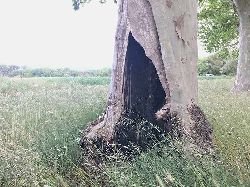 Diagnostics sanitaires