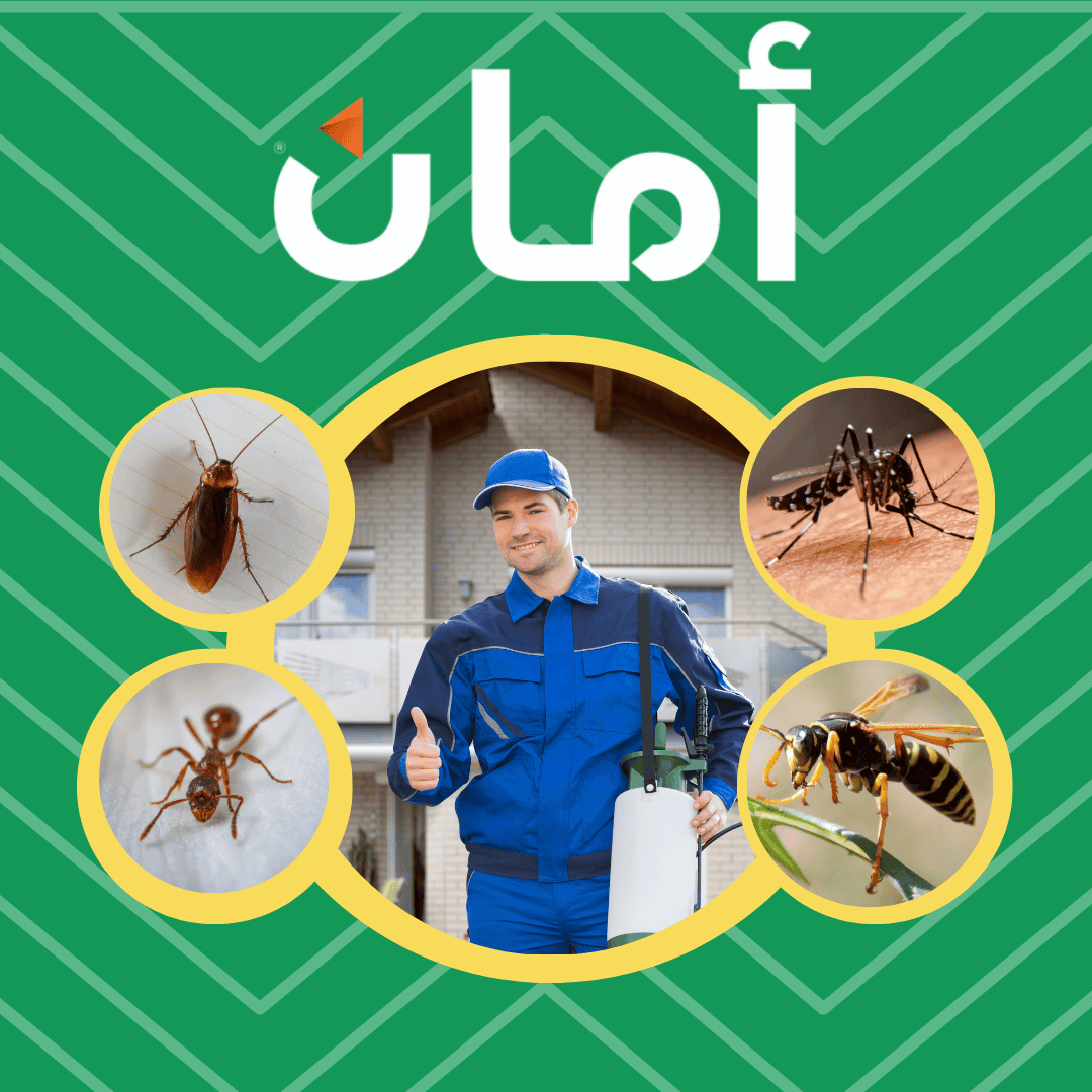 شركة مكافحة النمل الابيض