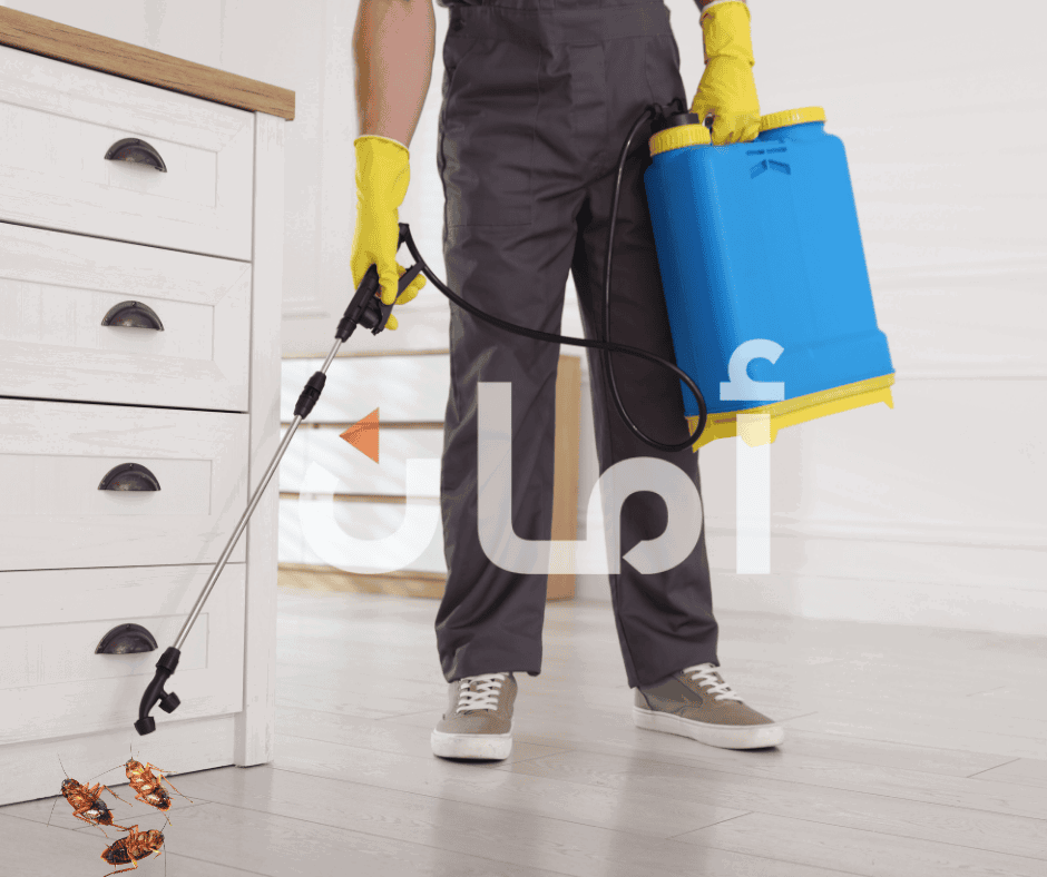 أفضل طرق الوقاية من الحشرات في المنزل