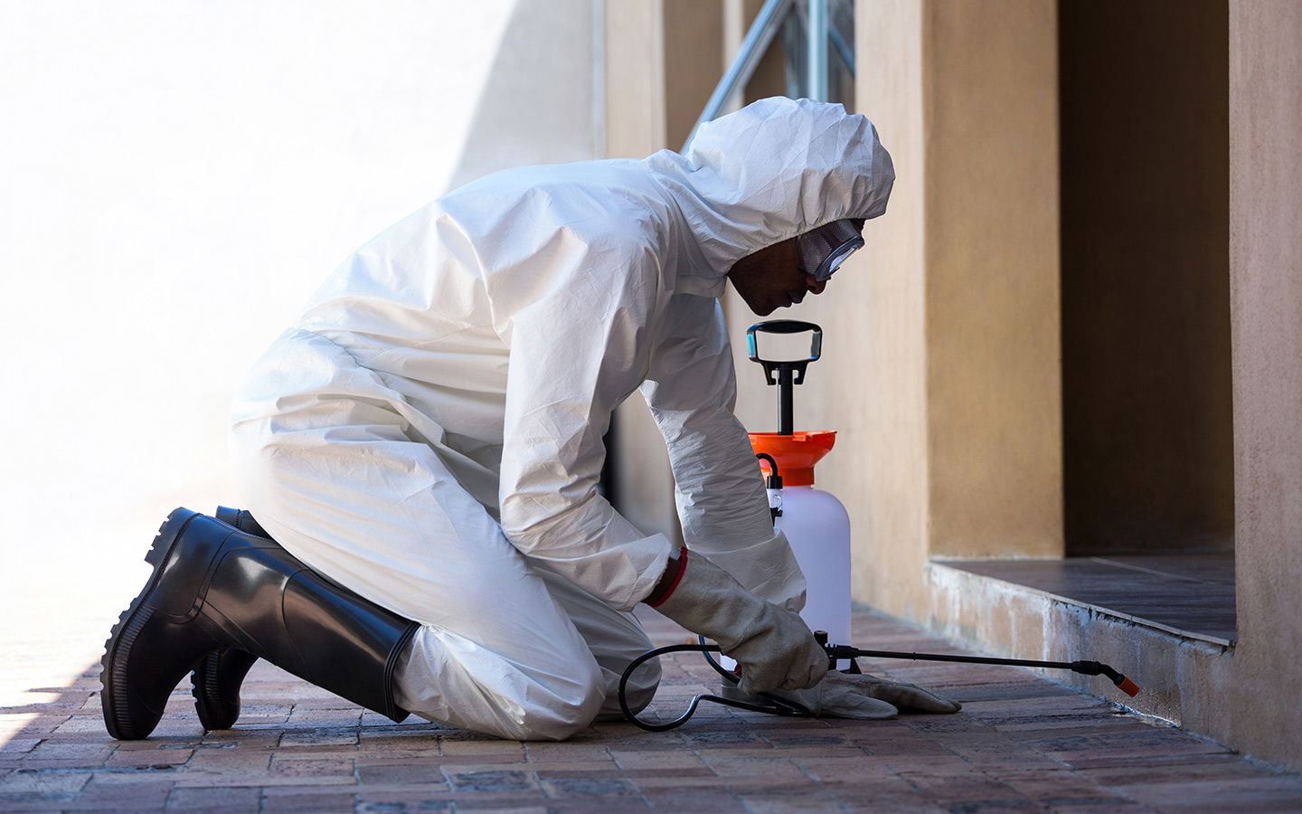 Pest Control Company in Riyadh