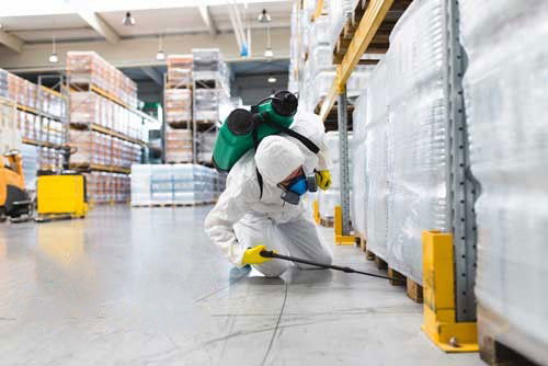 Home Pest Extermination