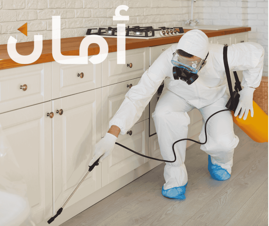 افضل شركة مكافحه حشرات في 2026 