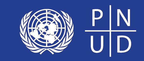 PNUD recrute 01 Stagiaire IT