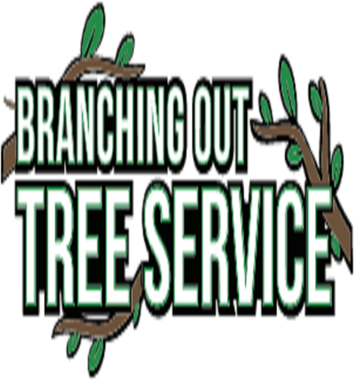Tree Cutting & Trimming Nesconset