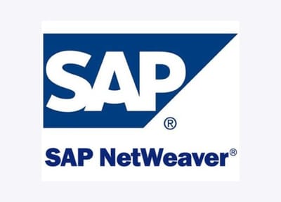0-day Vulnerability in SAP NetWeaver