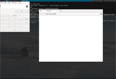 CVE-2025-47154 #  Ladybird Browser Engine UAF Vulnerability