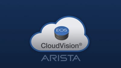 CVE-2024-11186 # Arista CloudVision Portal Vulnerability