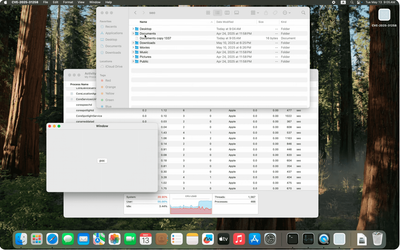 CVE-2025-31258 # macOS RemoteViewServices Vulnerability POC Released >>>
