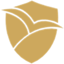 NetSkin