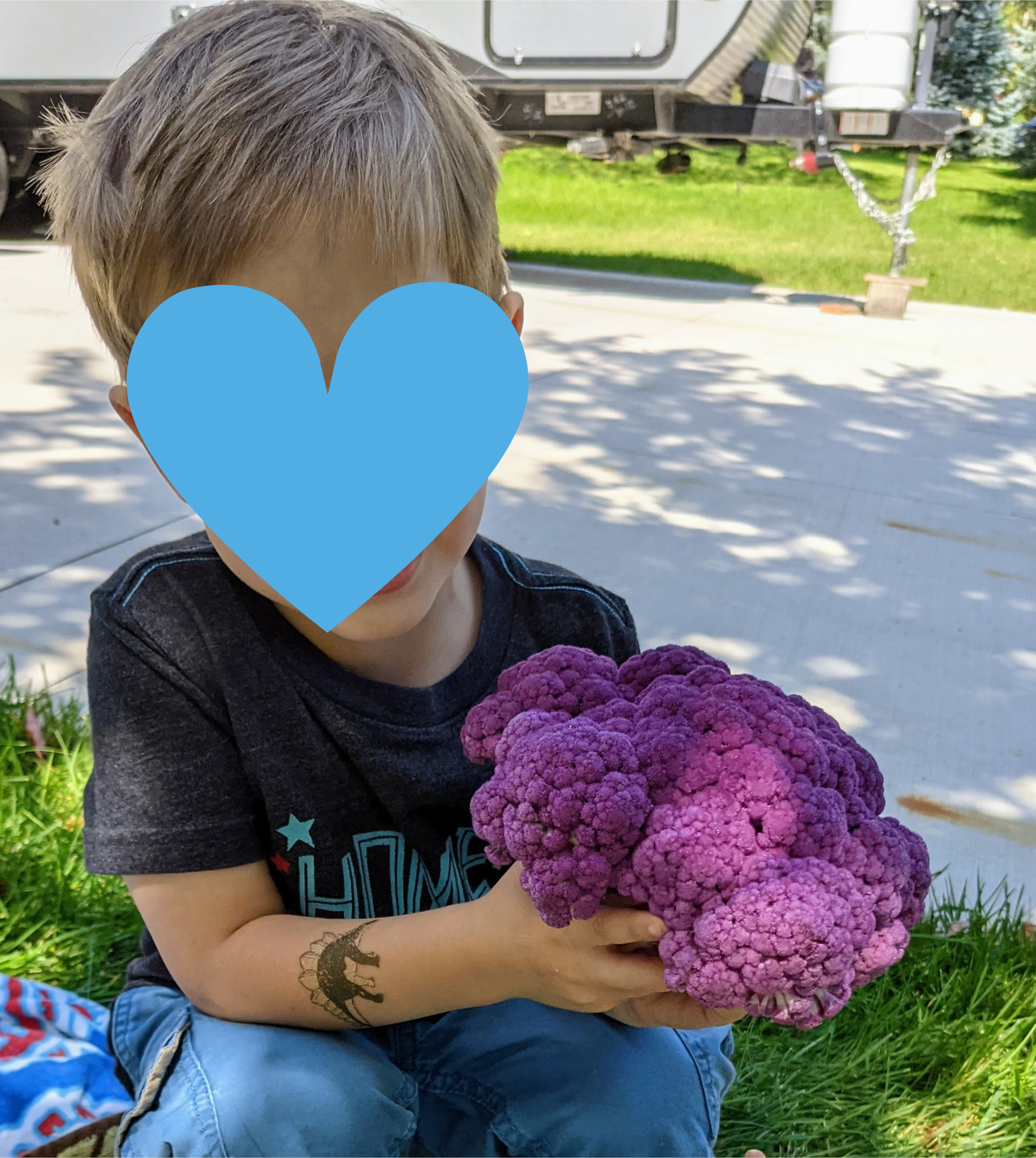 A little boy with his face protected holding purple cauliflower
