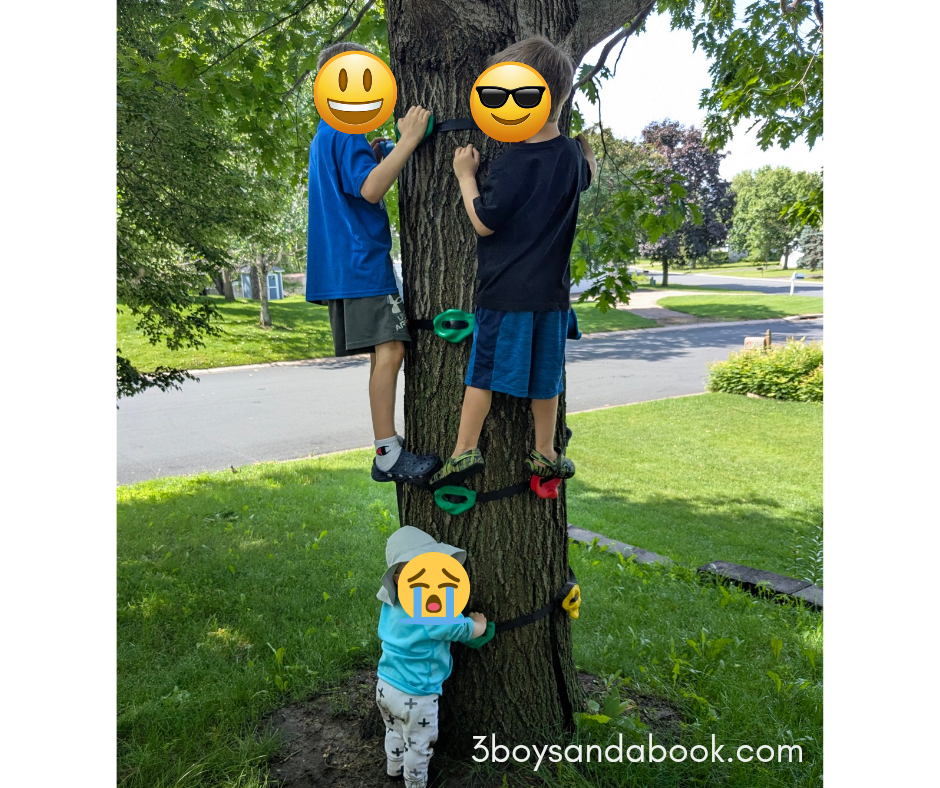 Three boys climbing a tree using the tree climber holds
