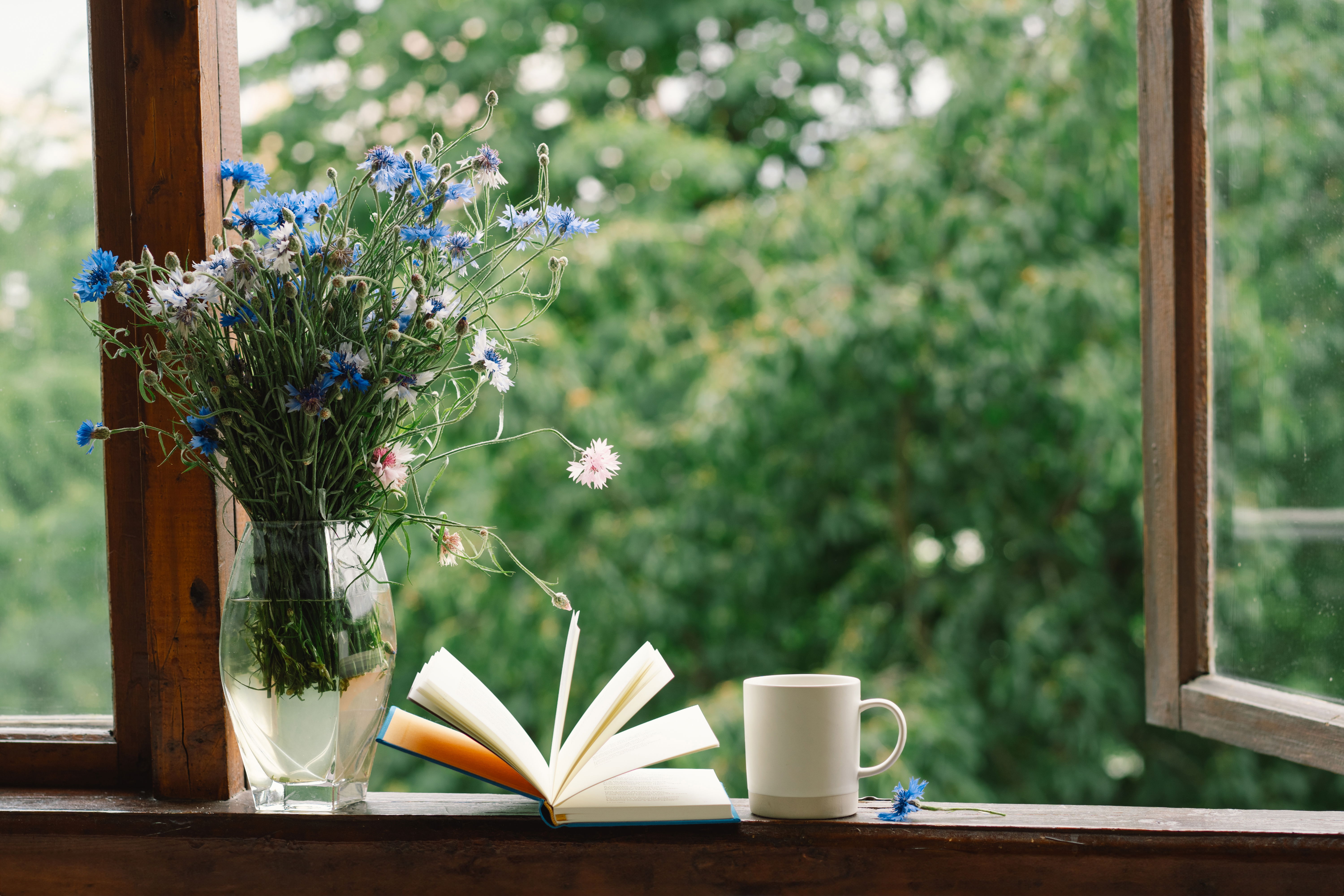 A vase with flowers, open book and a cup of coffee sit in a bright and sunny window sill.