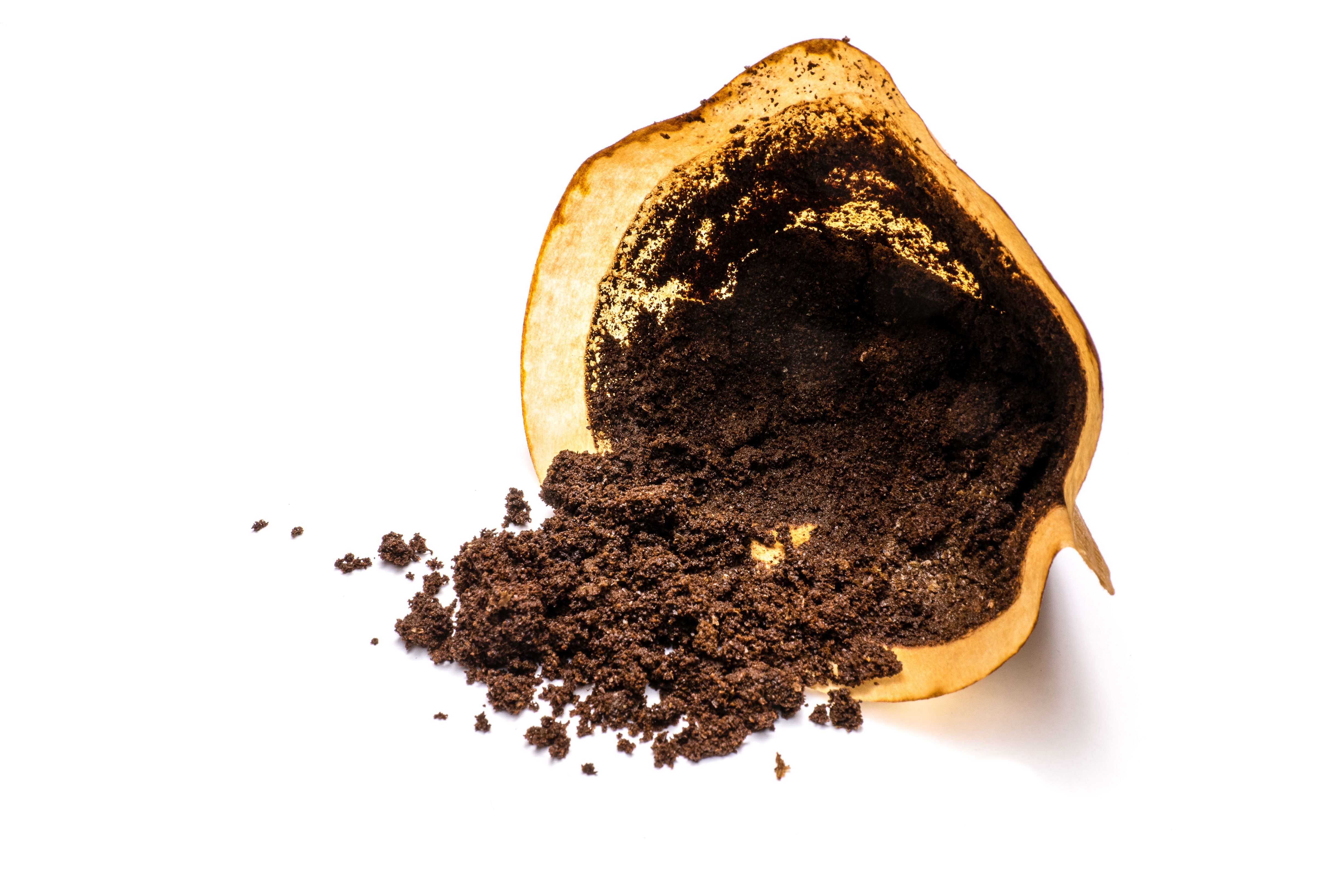 Used coffee grounds in a filter for composting