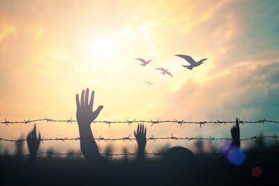 ULUSLARARASI KORUMA NEDİR?