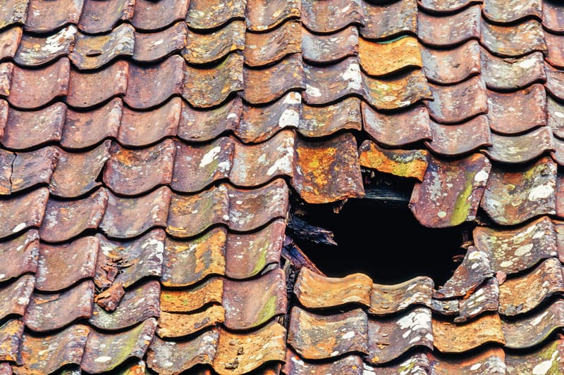 Recherche et réparation de fuite(s)