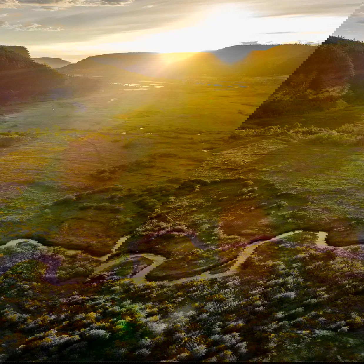 Visit https://www.wlfn.ca to learn more about the Williams Lake First Nation.