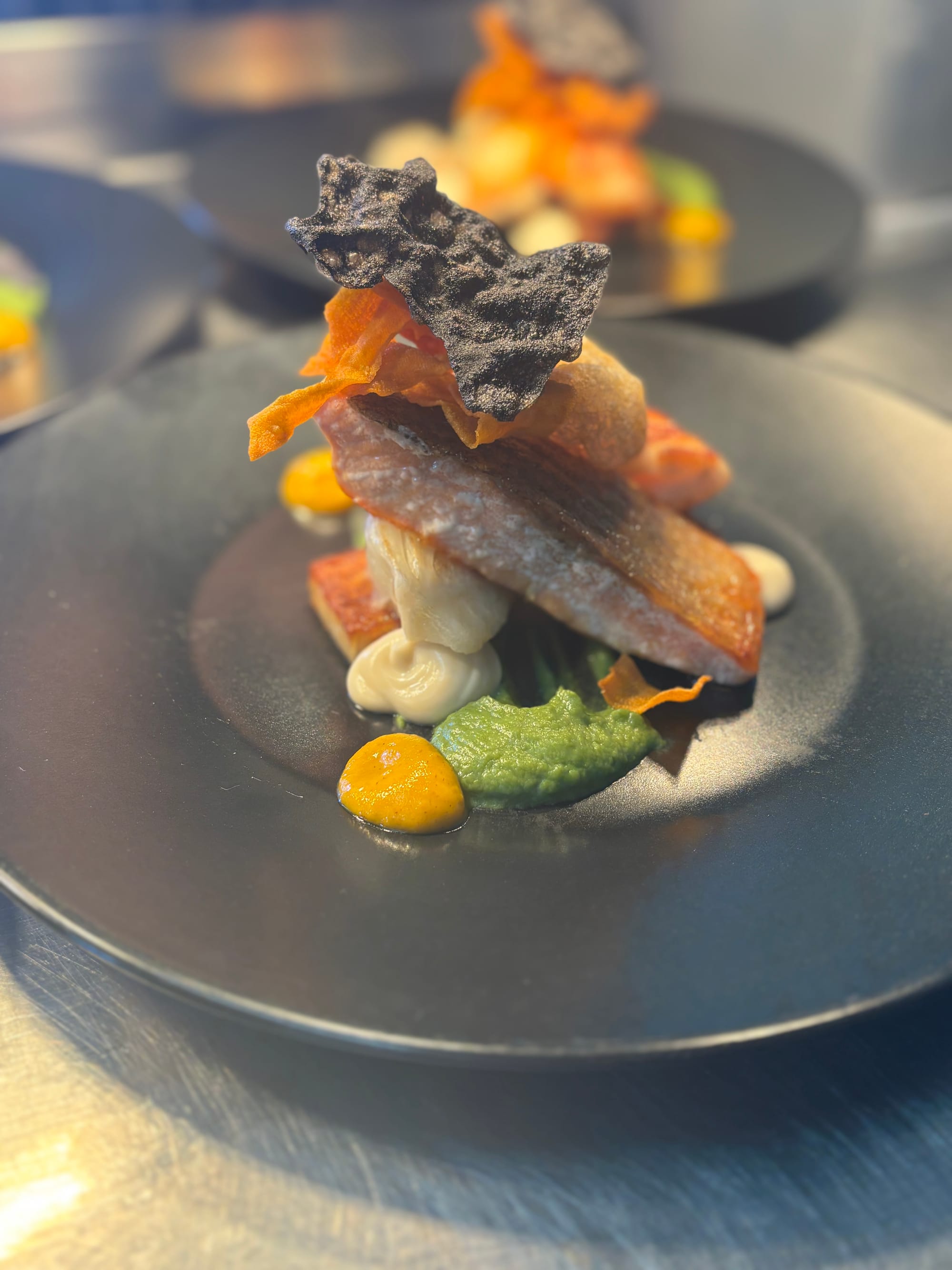Sea Trout