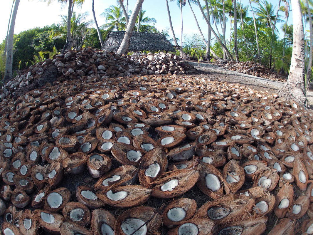 Coconut Sector Development Strategy, 2020