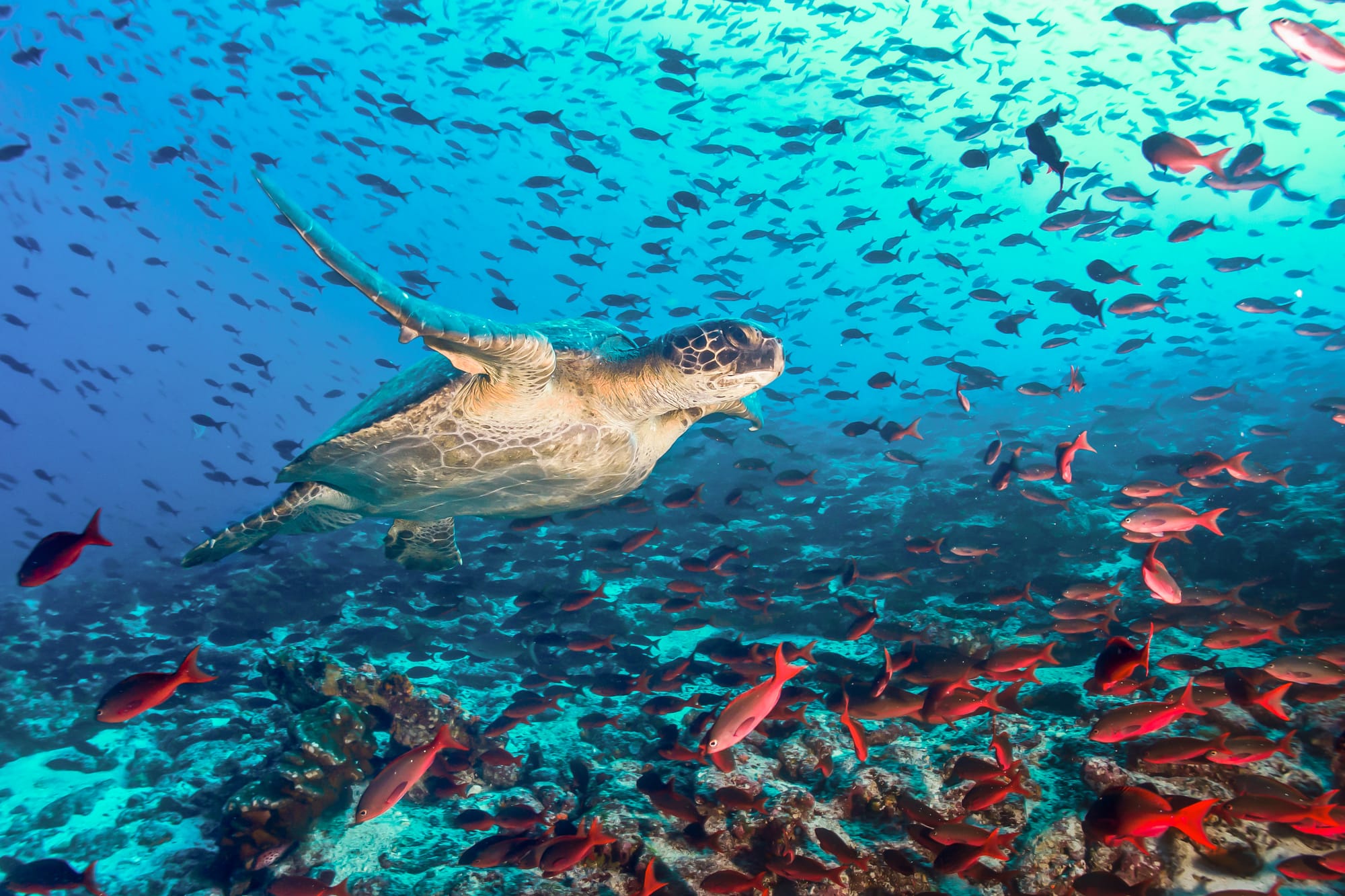 6.	Regional leader in environmental protection