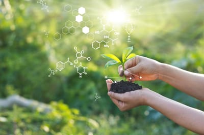 17th Freiburger Symposium 2025: «Sustainable Chemistry - from R&D to Manufacturing»