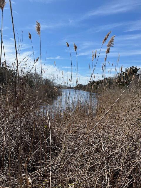 Lake Lily Island Restoration & Invasive Growth Control Efforts