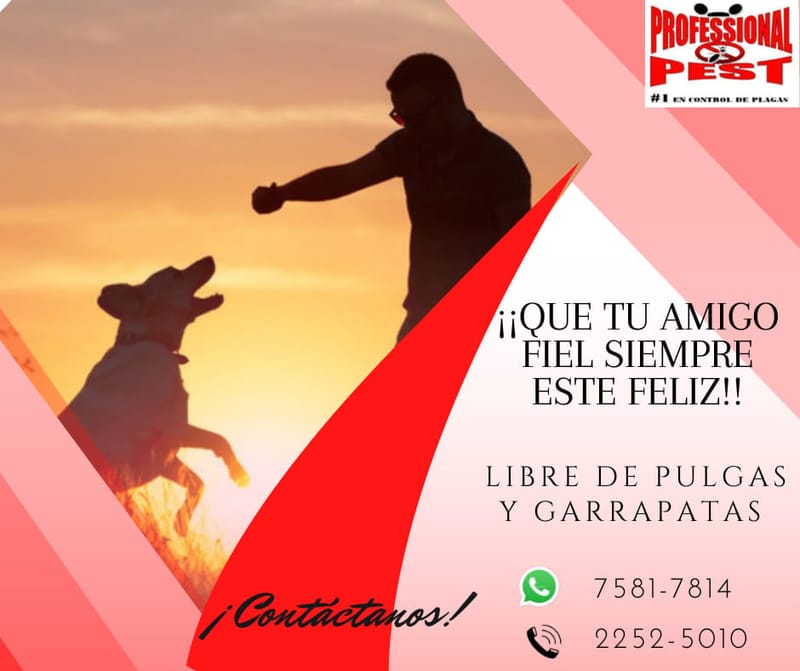 Control de Pulga y Garrapatas