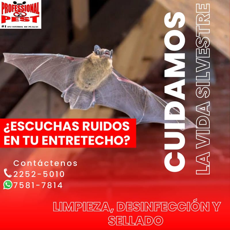 Control de Limpieza, Desinfección y Sellado