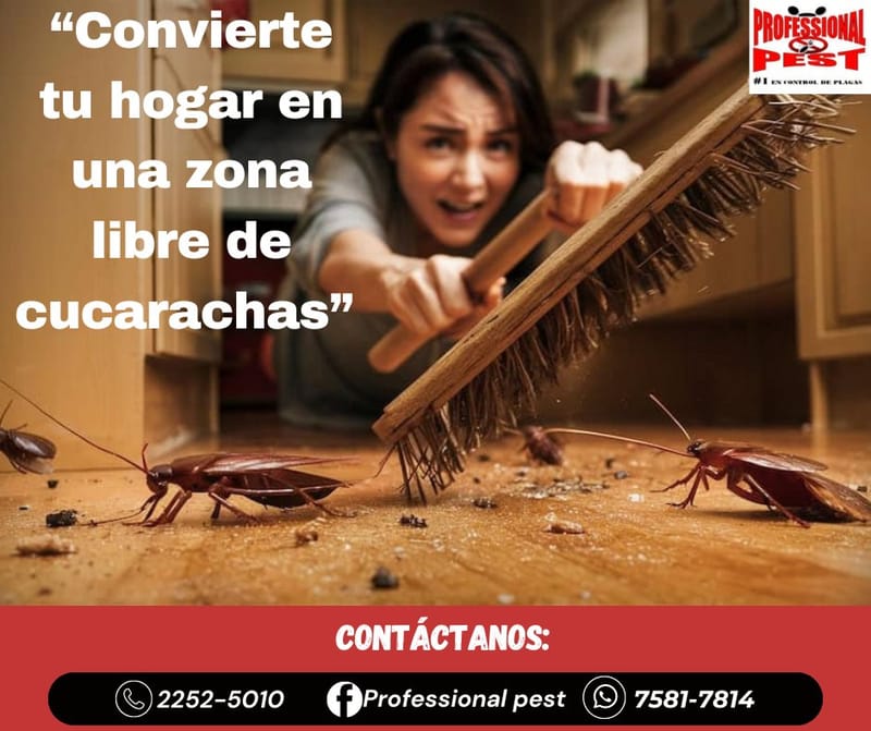 Control de Cucarachas