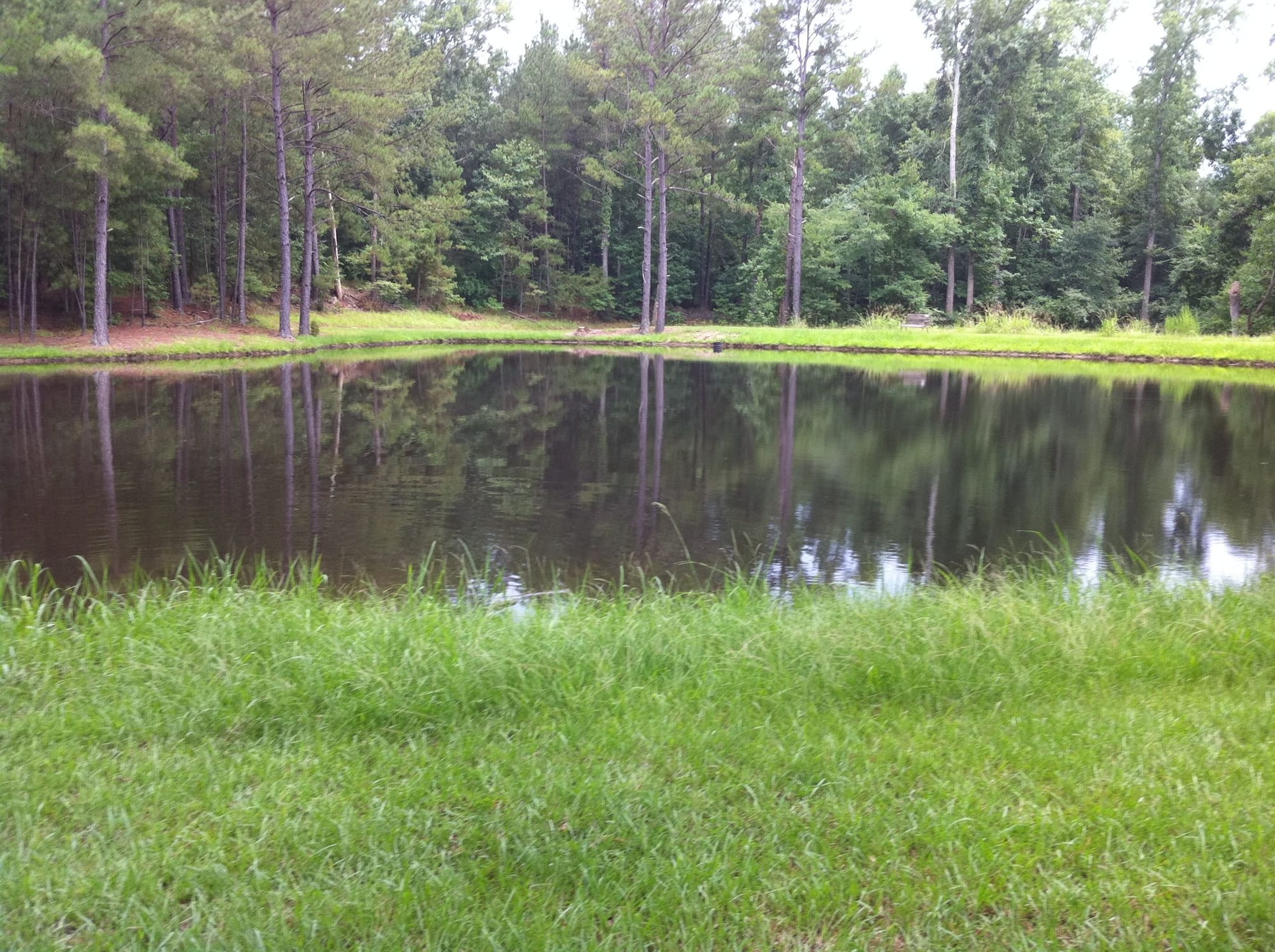 Picturesque pond at Andalusia in Milledgeville, Georgia.