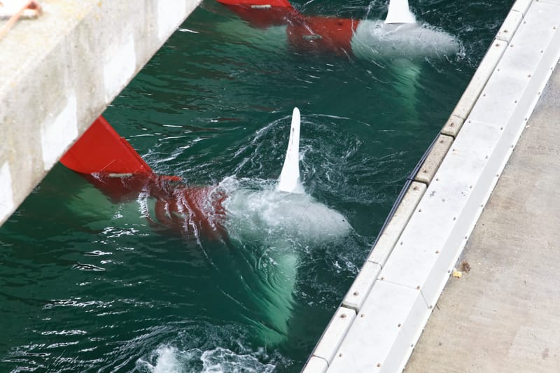 💧 2. Eau & Assainissement : Garantir l’Accès à l’Eau pour Tous