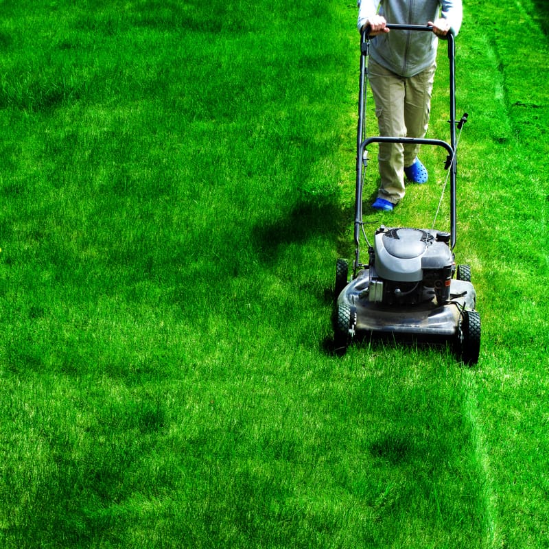 Lawn Mowing