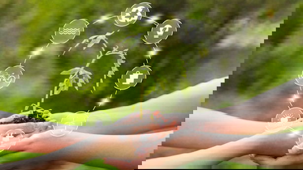 תחום האנרגיה הירוקה מאבד גובה - האם מדובר בתיקון זמני או שינוי מגמה עמוק?