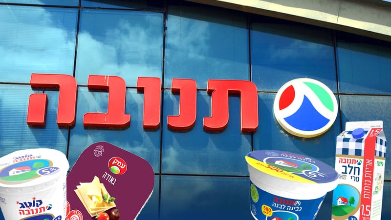 תנובה בדרך להנפקה - בין רווחיות מיידית לסיכון עתידי