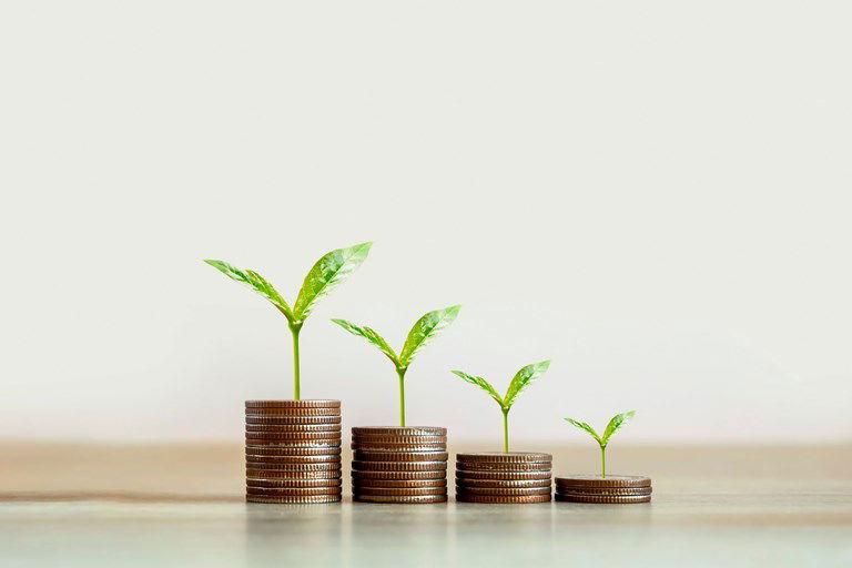 המלכודת של השמות הגנריים: איך רפורמת המסלולים השאירה אתכם מחוץ לחגיגה