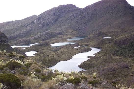 Giro de 180 grados en la protección de Santurbán: Gobierno adopta "delimitación progresiva" y frena la minería de gran escala