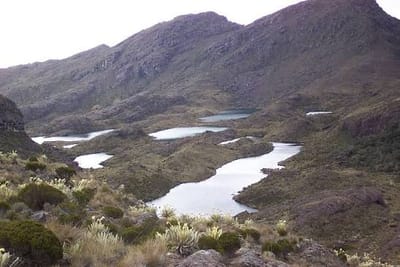 Giro de 180 grados en la protección de Santurbán: Gobierno adopta "delimitación progresiva" y frena la minería de gran escala