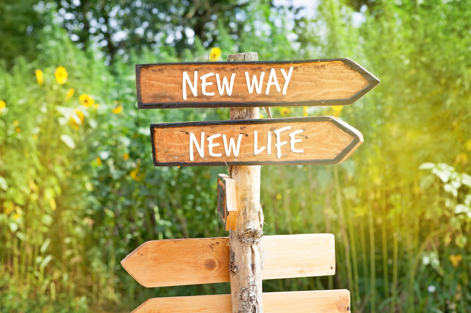 Re-entering Life