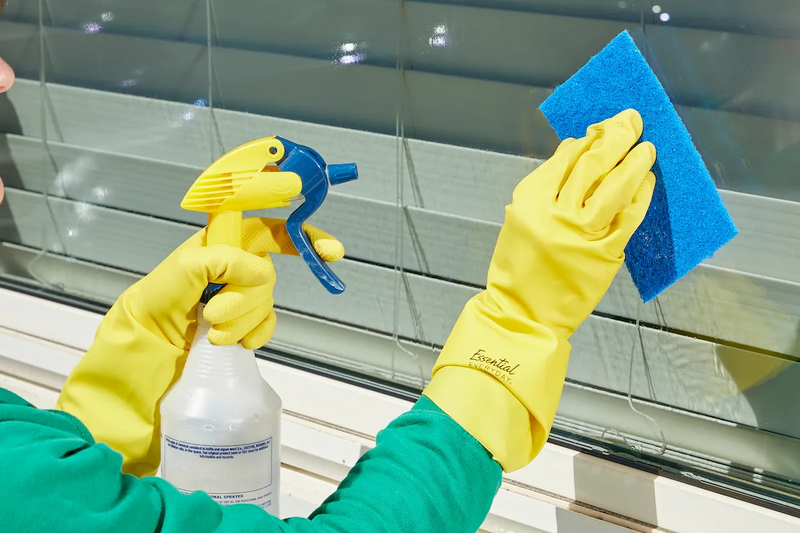 Window washing and cleaning (interior and exterior)