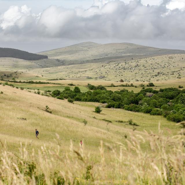 Causse Mejean