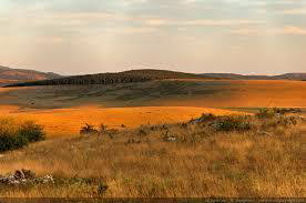 Causse Mejean