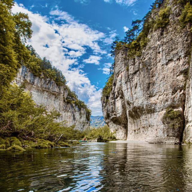 Gorge du Tarn
