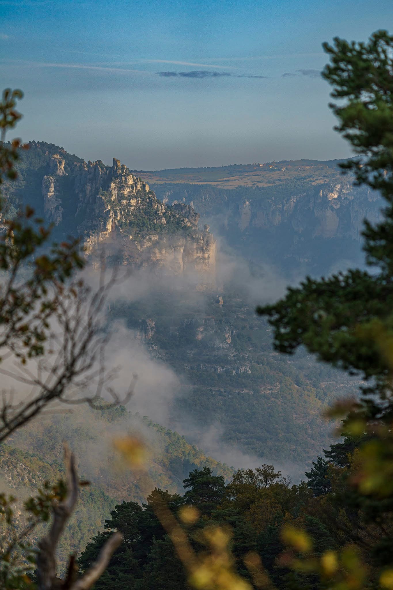 Gorge de la Jonte