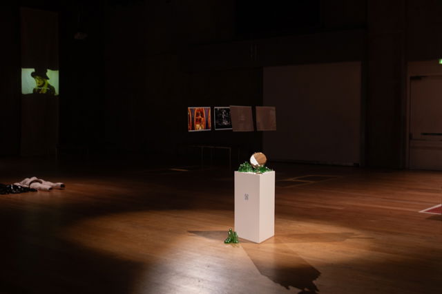 'Mirrors of neglect'